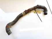 K?hlerschlauch Seat Alhambra, 2000.06 - 2010.03 facelift Gebraucht,