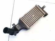 Ladeluftkühler Opel Astra, G 1998.09 - 2004.12 24406701, 57965