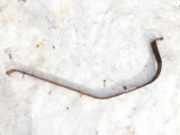 Halteband Kraftstoffbehälter Audi A3, 8L 1996.09 - 2000.10 Gebraucht,