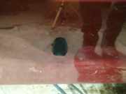 Waschwasserdüse Scheibenreinigung Volvo XC70, 2007.08 - 2012.02 Gebraucht,