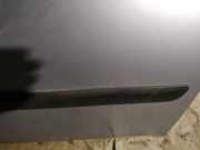 Zierleiste Tür Zier-Schutzleiste - Vorne Rechts Mitsubishi Grandis, I 2004.01 - 2009.12 Gebraucht,