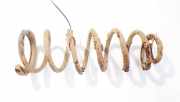 Fahrwerksfeder Hinterachse Peugeot 807, 2002.06 - 2012.05 Gebraucht,