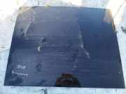 Schiebedach Glas Renault Scenic, II 2003.06 - 2006.06 as3,