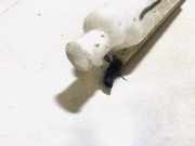 Ausgleichsbeh?lter Mitsubishi Outlander, I 2003.01 - 2006.12 Gebraucht,