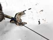 Injektorhalter BMW X1, E84 2009.01 - 2015.06 Gebraucht,