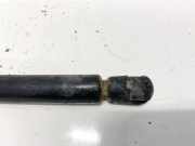 Gasdruckfeder Kofferraum Nissan Primera, P12 2002.01 - 2008.12 0867qz0510n,