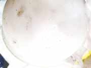 Ausgleichsbehälter Audi TT, 1998.10 - 2006.06 1j0121407d,