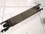 Ladeluftkühler Opel Corsa, D 2006.07 - 2010.06 Gebraucht,