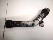 Intercooler Schlauch Renault Scenic, III 2009.02 - 2013.06 Gebraucht,