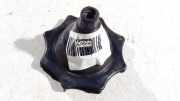 Ersatzradhalter Opel Insignia A, 2008.01 - 2013.01 13305591,