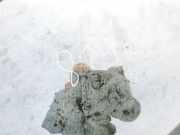 Seitenfenster Seitenscheibe - Toyota Previa, 2000.02 - 2006.01 Gebraucht,