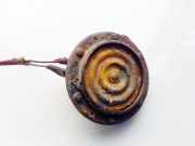 Hupe Nissan Almera, N15 1995.07 - 1998.06 Gebraucht,