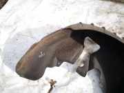 Radhausschale - Hinten Rechts Volkswagen Golf, V 2003.10 - 2008.10 Gebraucht,