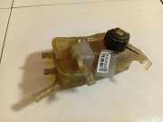 Ausgleichsbehälter Renault Scenic, III 2009.02 - 2013.06 217100005R, 217100005R