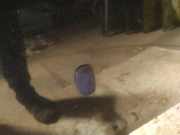 Waschwasserdüse Scheibenreinigung Ford C-MAX, 2003.01 - 2007.06 Gebraucht,