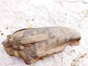 Radhausschale - Hinten Linke Mazda CX-7, 2006.01 - 2012.12 Gebraucht,