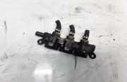 Einspritzleiste Gasanlage Audi A6, C6 2005.01 - 2008.10 67R010290,110R000123 110R-000123 10R-036345 67R-010290 67R010290