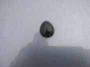 Waschwasserdüse Scheibenreinigung Renault Scenic, I 1996.01 - 1999.09 Gebraucht,