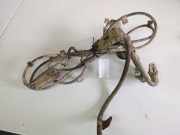Kabelbaum Einparkhilfe Opel Astra, G 1998.09 - 2004.12 Gebraucht,