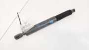Gasdruckfeder Kofferraum BMW 5-Series, F07F10 F11 2010.03 - 2016.12 7210557,1312120425N