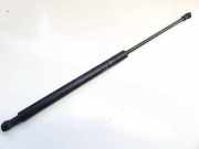 Gasfeder f?r Motorhaube Lexus IS, II 2005.10 - 2013.03 534400w101,53440-0w101