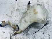 Scheibenwaschbehälter Vorne Wischwasserbehälter Fiat Bravo, 2006.11 - 2014 b805,