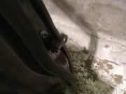 T?rfangband T?rbremse T?rstopper - Vorne Rechts Toyota Auris, I E15 2006.10 - 2012.10 Gebraucht,