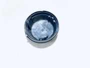 Blende Scheinwerfer - Vorne Citroen C5, I 2001.03 - 2008.02 89001146,