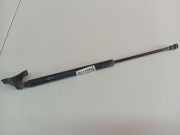 Gasdruckfeder Kofferraum Toyota Yaris, II (XP90) 2005.01 - 2011.01 9716UG0370N06707AD31,9716UG 0370N 06707 AD31 68950-0D020 689500D020