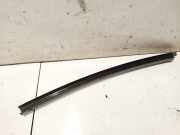 Zierleiste Leiste - Vorne Rechts BMW X5, E53 facelift 2004 - 2006 Gebraucht,