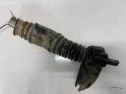 Lenks?ule unten Kreuzgelenk Volkswagen Transporter, T5 2003.04 - 2009.11 3105962,505463