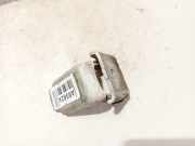 Türscharnier Hinten Renault Scenic, III 2009.02 - 2013.06 Gebraucht,