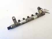 Kraftstoffverteiler Land-Rover Freelander, 2006.10 - 2013.12 9656917280,134286292101 0281002804