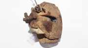 Bremssattel - Vorne Linke Opel Vectra, B 2000.09 - 2002.04 facelift fn35725,fn35725