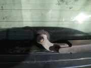 Wischermotor - Hinten Volvo V50, 2007.05 - 2012.01 Gebraucht,