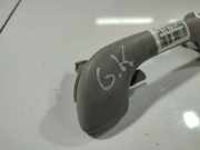 Haltegriff Haltegriff Verdeckgriff - Hinten Linke Renault Espace, IV 2002.11 - 2014.12 8200003209, 8200003209 98194 H 98194H