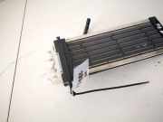 Wärmetauscher Innenraumheizung Zuheizer Renault Scenic, II 2003.06 - 2006.06 666601cc, 666601c-c