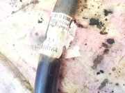 Stabilisator Vorne Nissan X-Trail, 2001.06 - 2007.06 Gebraucht,