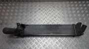 Ladeluftkühler Ford Focus, 2004.11 - 2008.06 Gebraucht ,