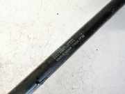 Gasdruckfeder Kofferraum SAAB 9-5, 2005.11 - 2010.05 facelift 1048vg0230n,