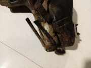 Waschwasserpumpe Scheibenreinigung Citroen C4, I 2004.11 - 2008.06 Gebraucht,