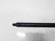 Gasdruckfeder Kofferraum Tesla Model S, I 2012.01 - 2016.06 600661100B,6006611-00-B