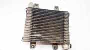 Ladeluftkühler Kia Carnival, 1998.08 - 2005.09 Gebraucht,