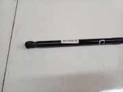 Gasfeder für Motorhaube Volkswagen Passat, B5 1996.08 - 2000.11 Gebraucht , AFN