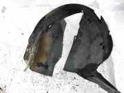 Radhausschale - Vorne Rechts Honda Stream, I 2000.01 - 2003.06 Gebraucht,