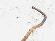 Stabilisator Vorne Mazda 6, 2002.06 - 2007.08 Gebraucht,