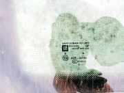 Seitenfenster Seitenscheibe - Opel Zafira, B 2005.07 - 2008.01 e643r00104, e643r-00104 as3