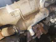 Abgaskühler AGR-Kühler Citroen Xsara, I 2000.09 - 2005.03 facelift 9627242880, 861059g