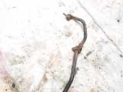 Stabilisator Stabi Hinten Hinterachse Skoda Praktik, I 2006.01 - 2010.06 Gebraucht,