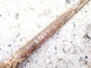 Stabilisator Stabi Hinten Hinterachse Peugeot 807, 2002.06 - 2012.05 Gebraucht,